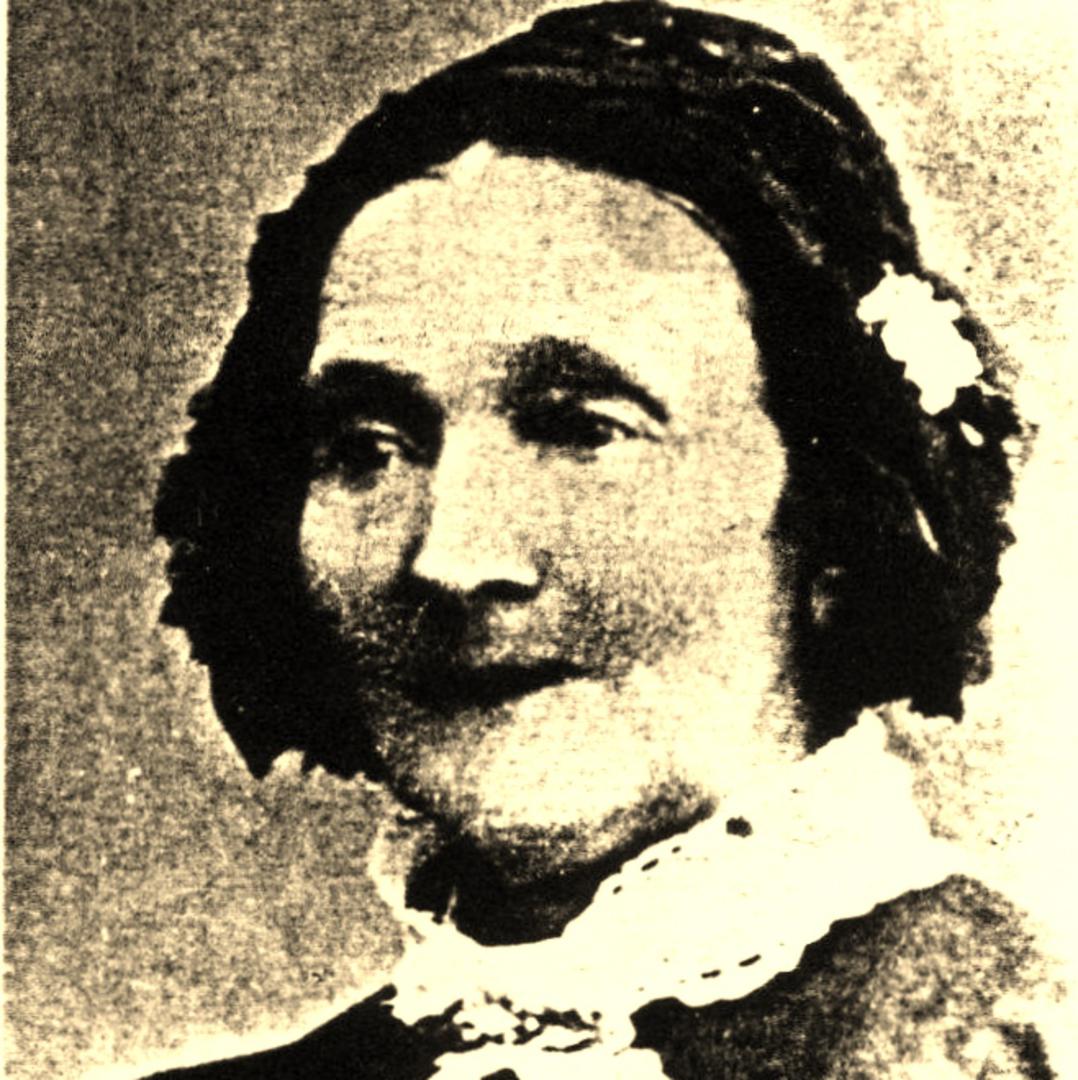 Lovina Palmer (1816 - 1887) Profile